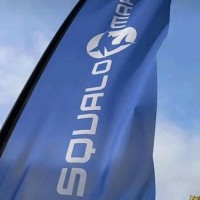 Squalo Marine logo - Similar company to Ampd Boards