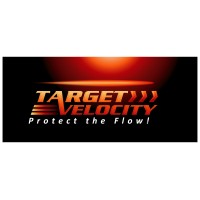 Target Velocity Consulting, Inc.
