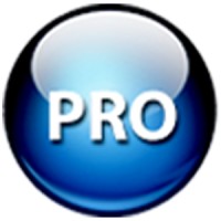 Pro IT City logo - Similar company to Working Wares
