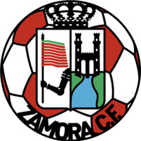 Zamora Club de Fútbol logo - Similar company to Grupo Sibaritas