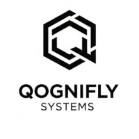 Qognifly Systems logo - Similar company to Aeroteque Ltd
