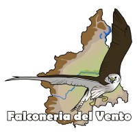 Falconeria del Vento logo - Similar company to Mib Security Services