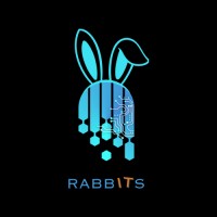 RabbitsIT LTD logo - Similar company to Digisense