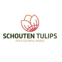 Schouten Tulips logo - Similar company to Kapiteyn Group