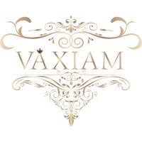 Shenzhen Vaxiam Electronic Technology Co., Ltd