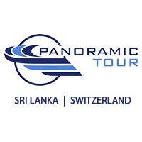 Panoramic Tour & Travels Pvt Ltd logo - Similar company to Magnex Solutions