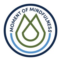 Moment of Mindfulness logo - Similar company to Mindfulness Trainer Pllc