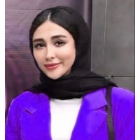 PTLFOOD (Date & Date Based Product) logo - Similar company to Needs And Answers Network (Nan)