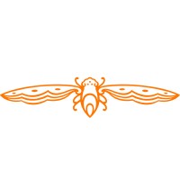 Cicada Pte Ltd logo - Similar company to Cicada