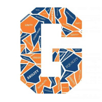 Office Of Multicultural Engagement