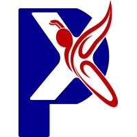 Pixie IT Solutions logo - Similar company to Pixia Corp
