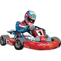 Indoor Kart Hire O'Connor
