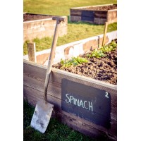 BULWELL FOREST GARDEN logo - Similar company to Nottinghamshire Sexual Violence Support Services