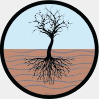 National Centre for Reconciliation, Truth, and Justice logo - Similar company to Nmc Inclusive