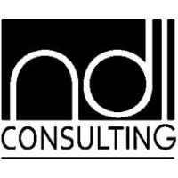 NDI Consulting Pvt. Ltd logo - Similar company to Professional Visa And Education Services