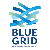 Blue Grid Lda logo - Similar company to S2T Minerals