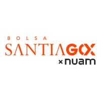 Bolsa de Santiago logo - Similar company to Itpartner