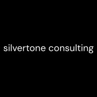 Silvertone Consulting logo - Similar company to Ai Discovery Group