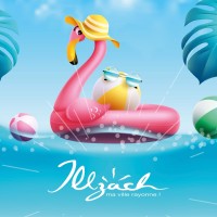 Ville d'Illzach logo - Similar company to Baselmarketing