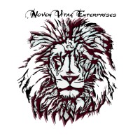 Novem Vitae Enterprises, LLC logo - Similar company to Creative Soul Music School