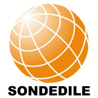 SONDEDILE S.R.L. logo - Similar company to Engeoneering Srls