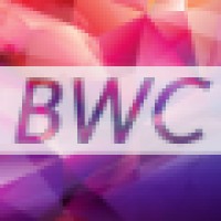 BWC Visual Technology logo - Similar company to Panda Programmer