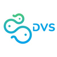 DVS TECHNOLOGY logo - Similar company to Austral Subtech