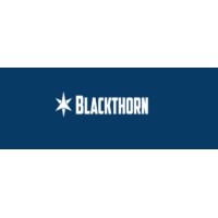 Blackthorn Sp. z o.o. logo - Similar company to Qualtech Sp. Z O.O.