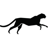 Nanlabs logo - Similar company to Nanlabs