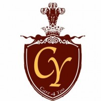 Care4you Lifestyle Solutions logo - Similar company to Fabio Home Services