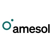 Amesol logo - Similar company to Compass International Gmbh