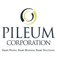 Pileum Corporation logo - Similar company to Netlink Voice