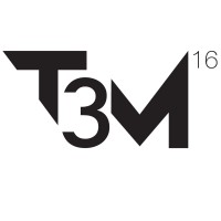 T3M-16 logo - Similar company to Daistatus