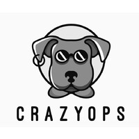 CrazyOps logo - Similar company to Devopsprodigy