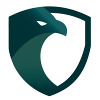 Falcon Solutions logo - Similar company to Falcon Eye Solutions