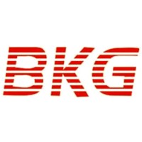 BKG AUTOMOTIVE PVT LTD. logo - Similar company to Auto Mobile World