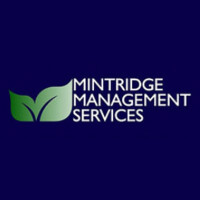 Mintridge Management Services