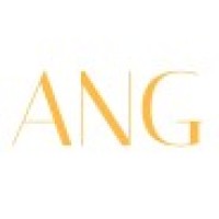 Aviation Networking Group logo - Similar company to Aviation Hub