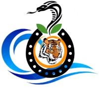 Ivsa Nagpur
