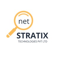 NET STRATIX TECHNOLOGIES logo - Similar company to Infigini It Services