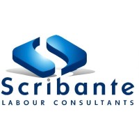 Scribante Labour Consultants logo - Similar company to Scribante Mining & Construction