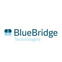 BlueBridge Technologies logo - Similar company to Blubridge