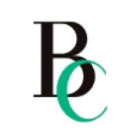 Bizcreators logo - Similar company to Datavert Communications Pvt Ltd