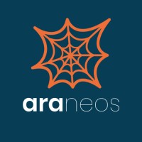 Araneos logo - Similar company to Logicaltic