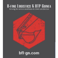 B-Fing Logistics & BTP Guinea logo - Similar company to C
