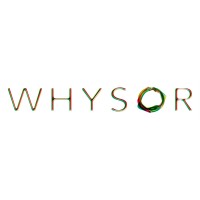 Whysor B.V. logo - Similar company to Systemec Gmbh