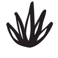 Rufina Maguey Silvestre logo - Similar company to Chambre De Commerce Et D'Industrie Du Centre