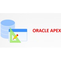 Oracle Apex BD logo - Similar company to Oracle Apex Trainer