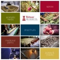 BELMAR A.S. logo - Similar company to Belmar