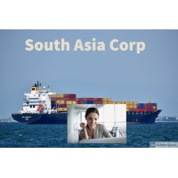 South Asia Corporation plc logo - Similar company to Dynamic Star Infotech